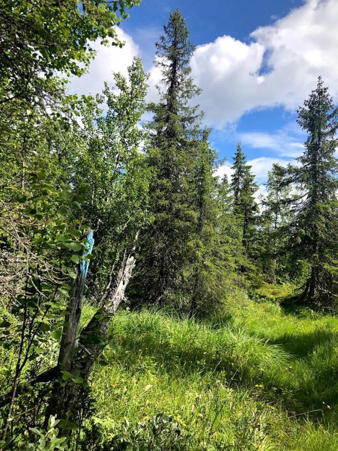 Hos Blafjelldal, Bagn I Valdres Bed & Breakfast Екстериор снимка